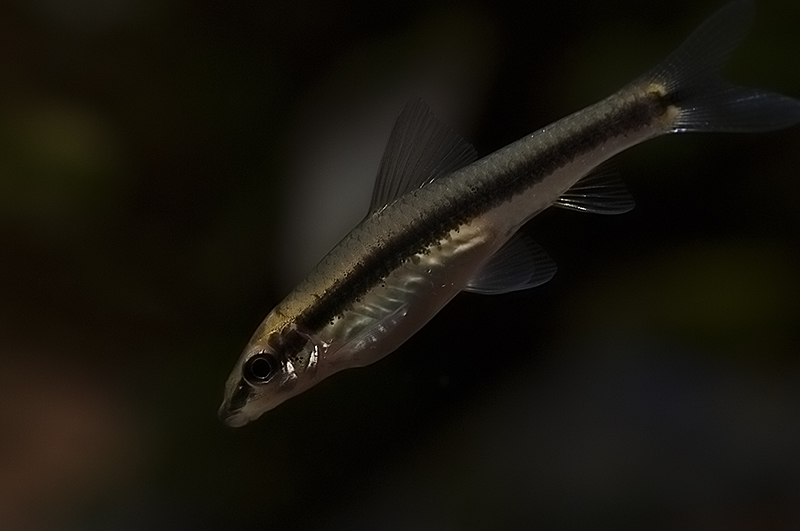 DSC_9073.jpg