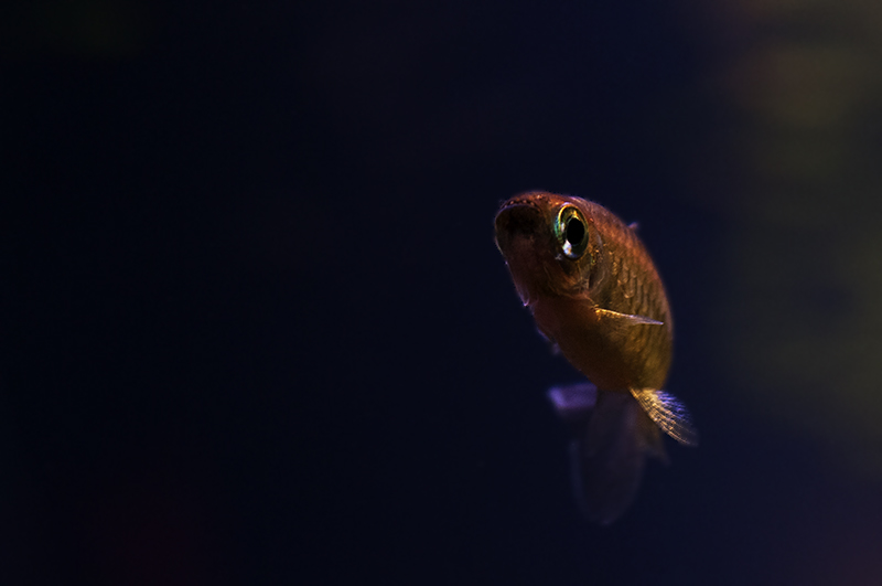 DSC_9172.jpg