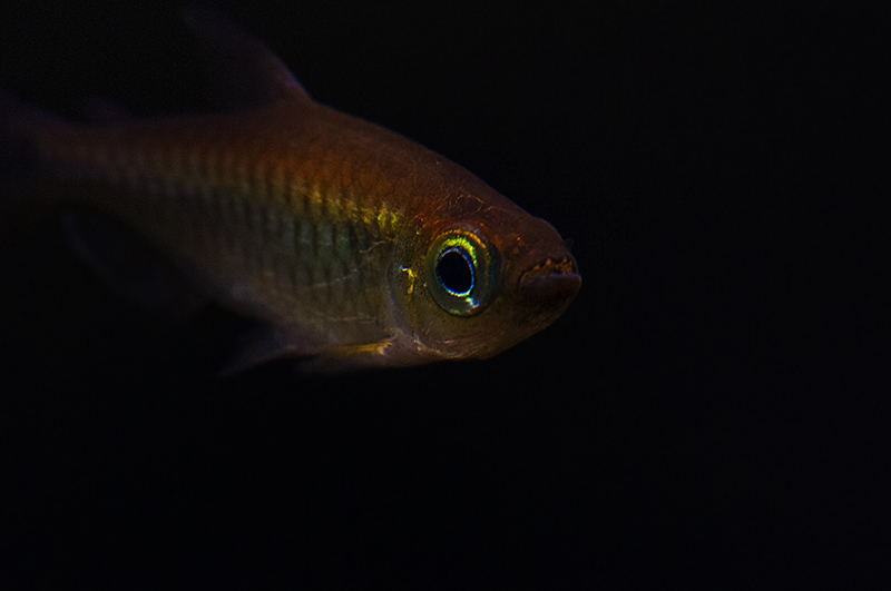 DSC_9247.jpg