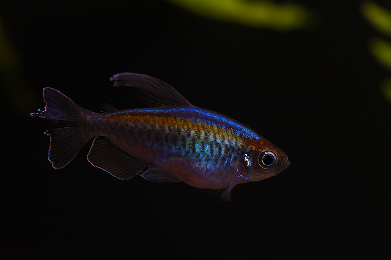 DSC_9425.jpg