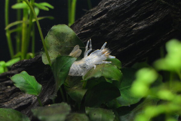 DSC_9604.JPG