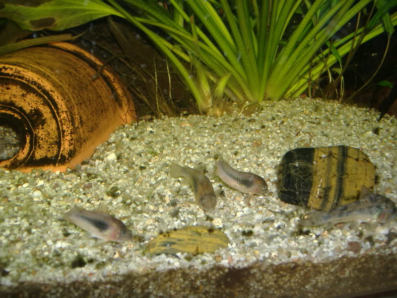 DSCF0218.JPG