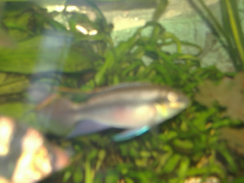 DSCF0220.JPG