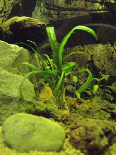 dscf1610.jpg