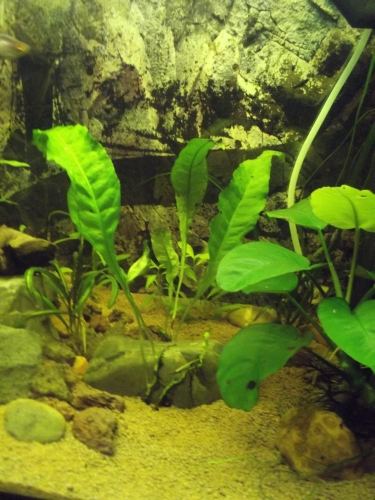 dscf1622.jpg