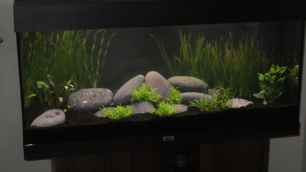DSCF2094_zpsxbbtsv3m.jpg