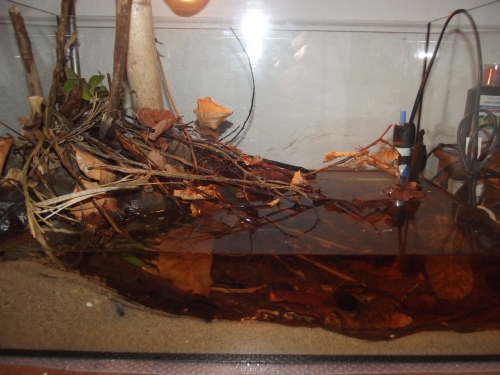 dscf2422.jpg