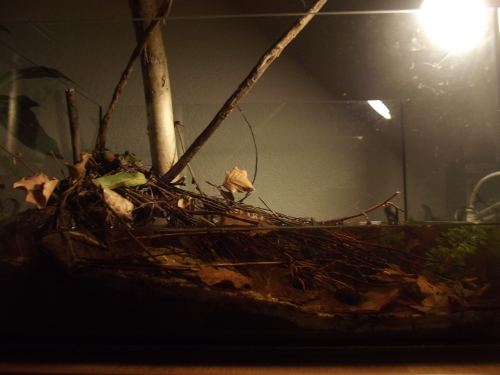 dscf2818.jpg
