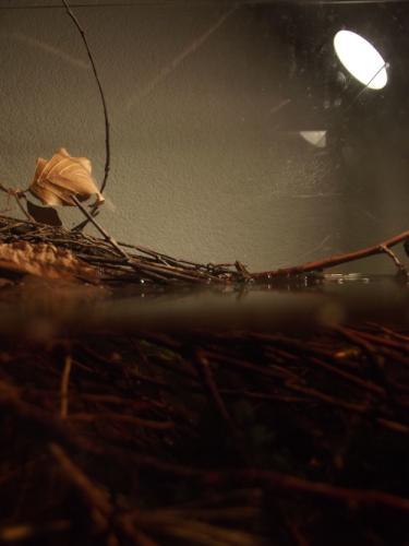 dscf2831.jpg