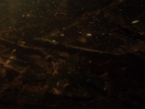dscf3460.jpg