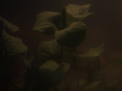 dscf3638.jpg