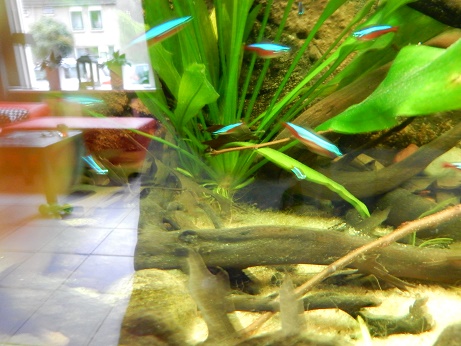 dscn1032.jpg