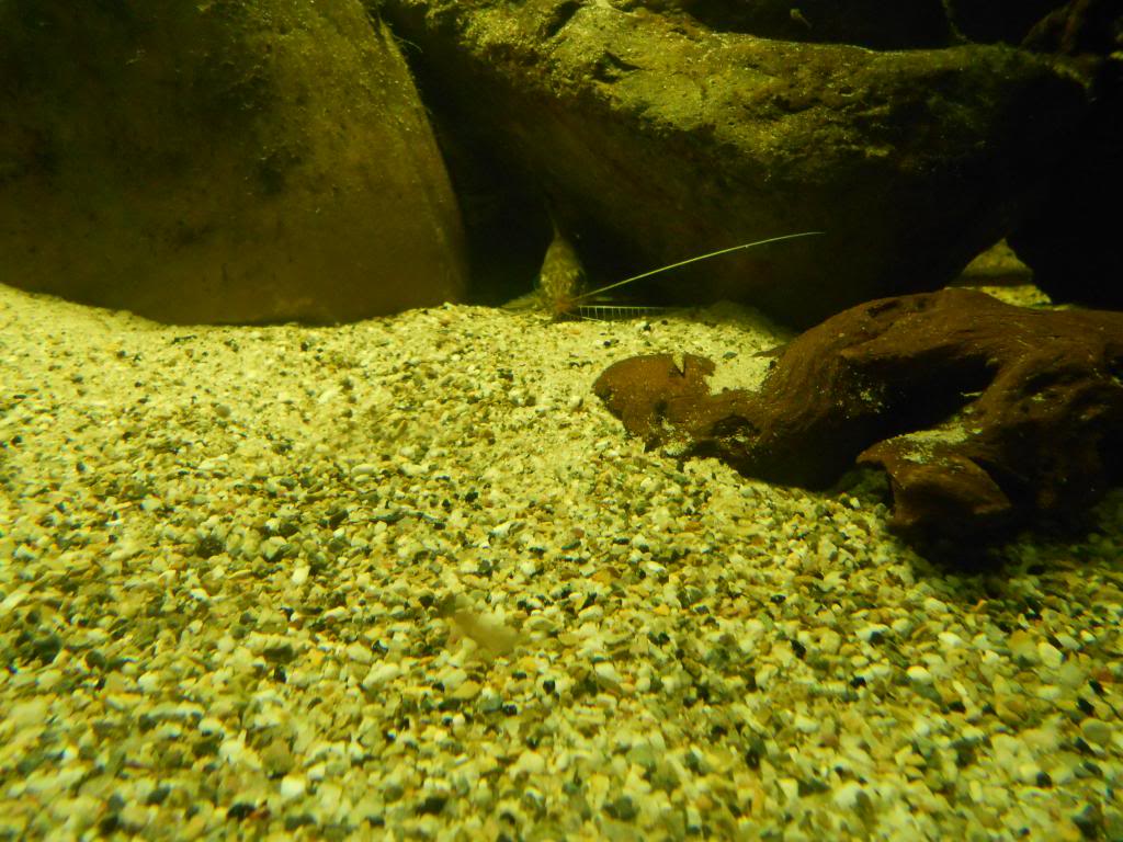 DSCN2545_zps4bce31ea.jpg