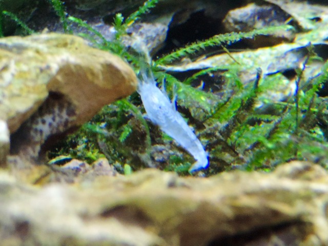 DSCN5401.jpg