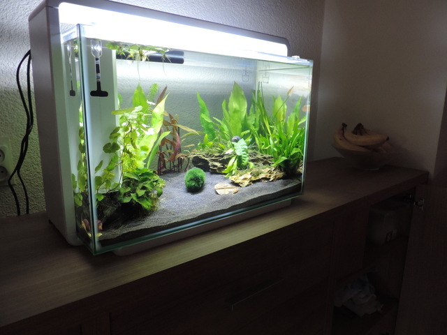 DSCN5479.jpg