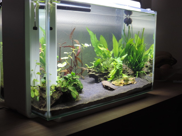DSCN5512.jpg