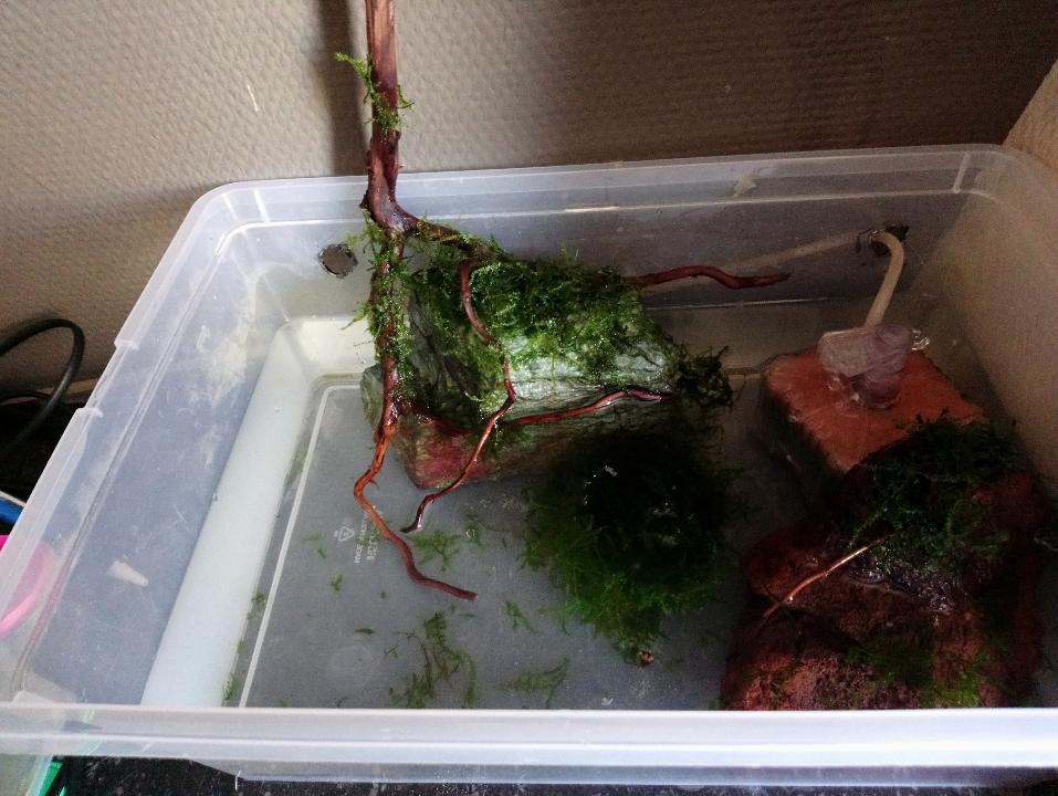 E20A1269-978B-49B4-A956-1C3FF55882CE.jpeg
