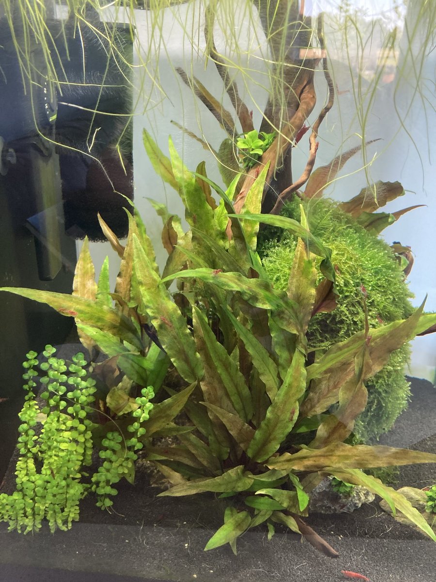 E3D26483-CB2E-45AA-AC0A-40450D0953CF.jpeg