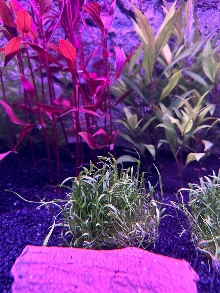 E6061986-D7A8-4D10-BB0E-676BD05B5D88.jpeg