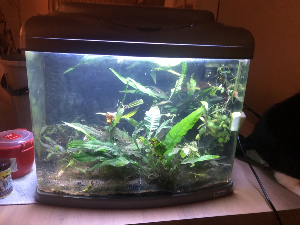 E6AB283B-1FBF-4BCF-B4EA-F03A9FD1FAA3.jpeg