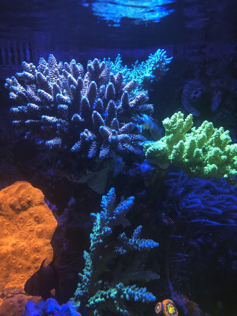 F0076F83-A379-4A7E-B9CB-9569B963B7F3.jpeg