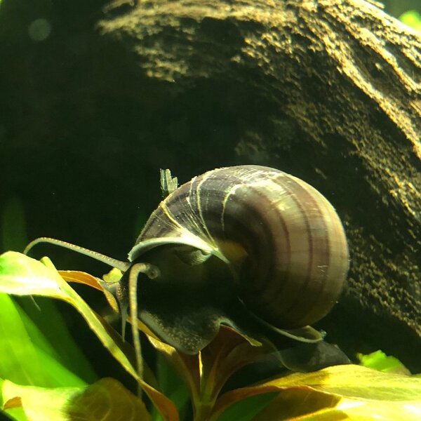 FA6CEE4F-3E49-457F-9745-CD40371ACDA9.jpeg
