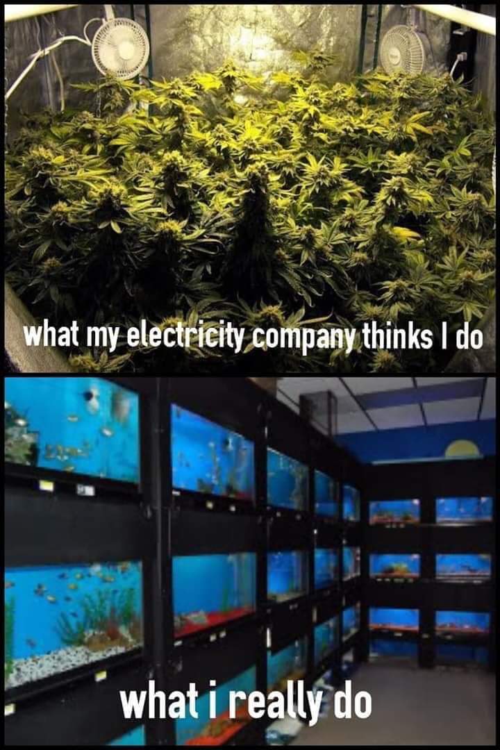 FB_IMG_1556484992314.jpg