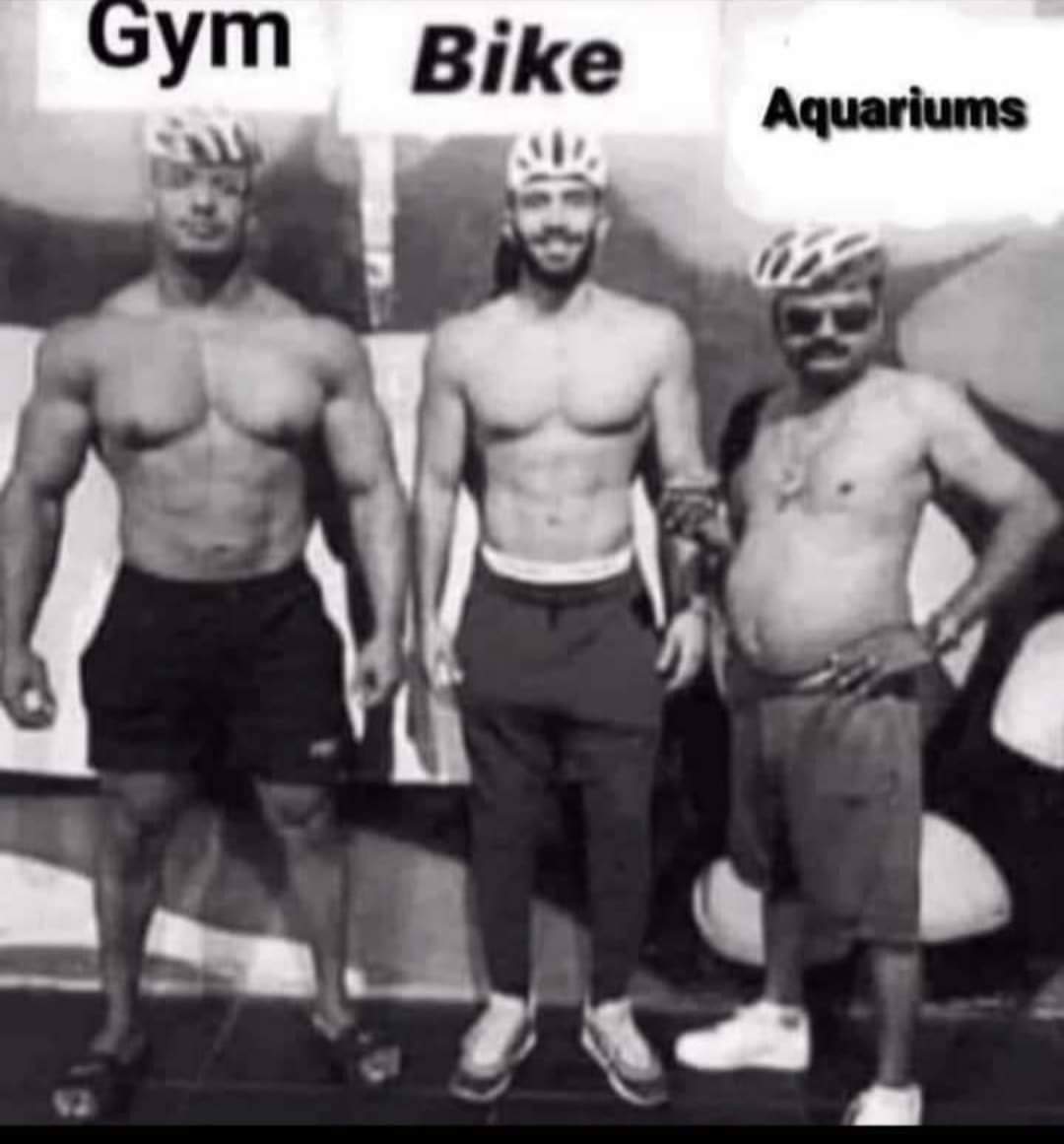 FB_IMG_1607583487916.jpg