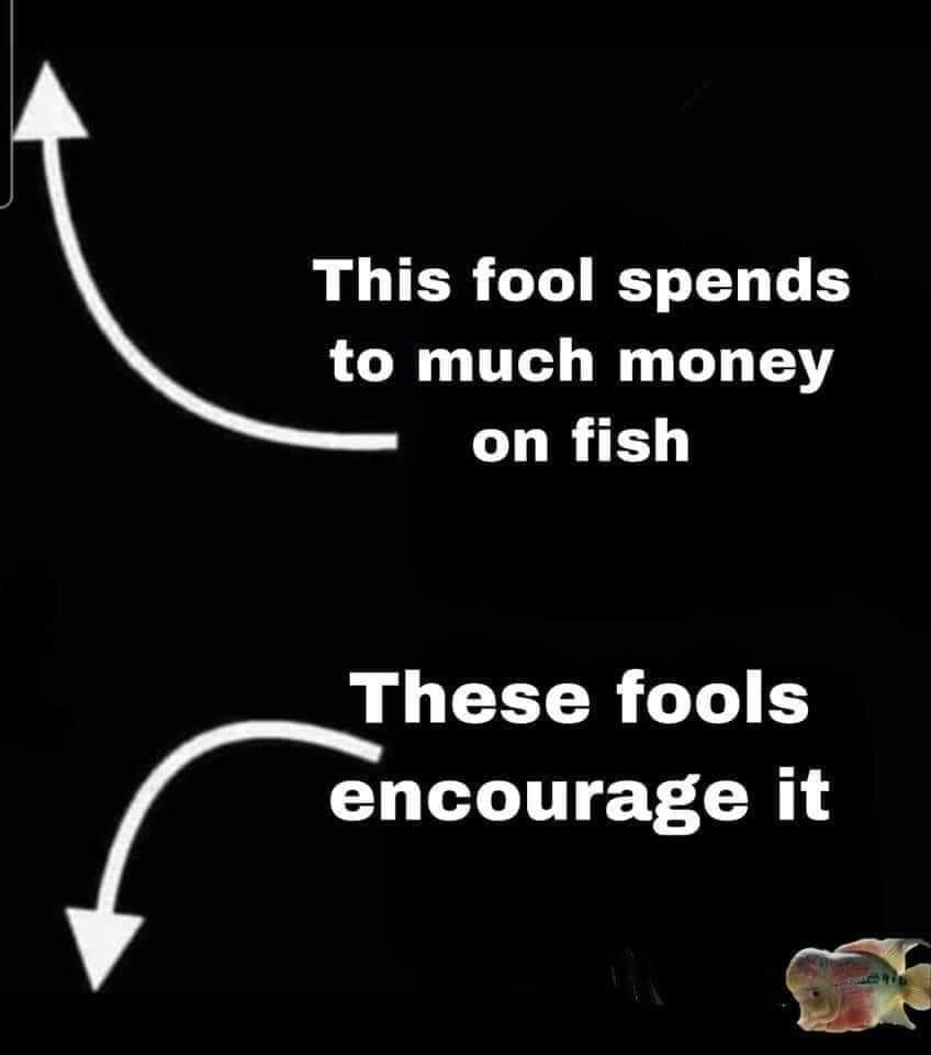 FB_IMG_1609505082052.jpg