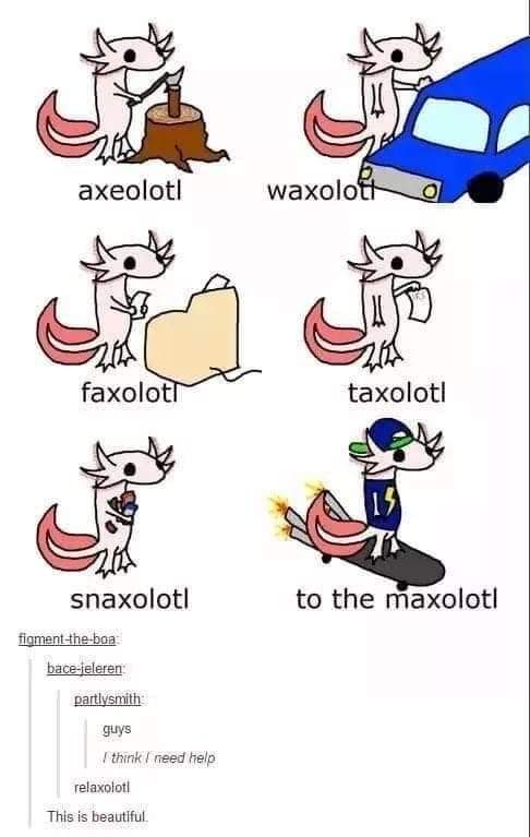 FB_IMG_1633016491844.jpg