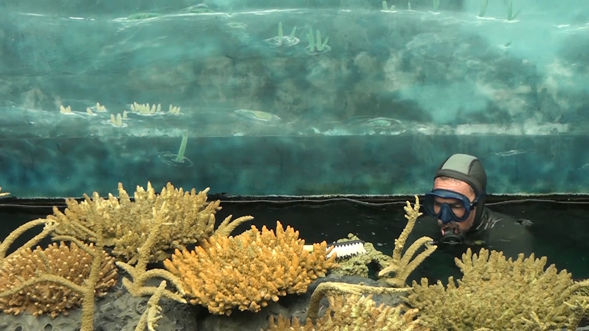 Fish3.jpg