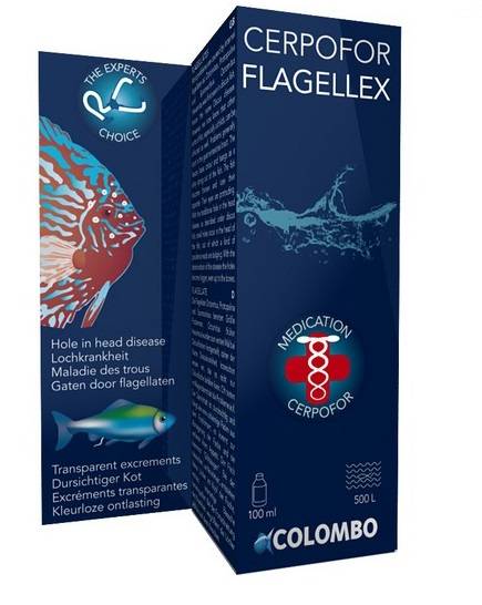 FLAGELLEX 100 ML_500 LTR (1).jpg
