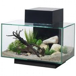fluval_edge1b.jpg