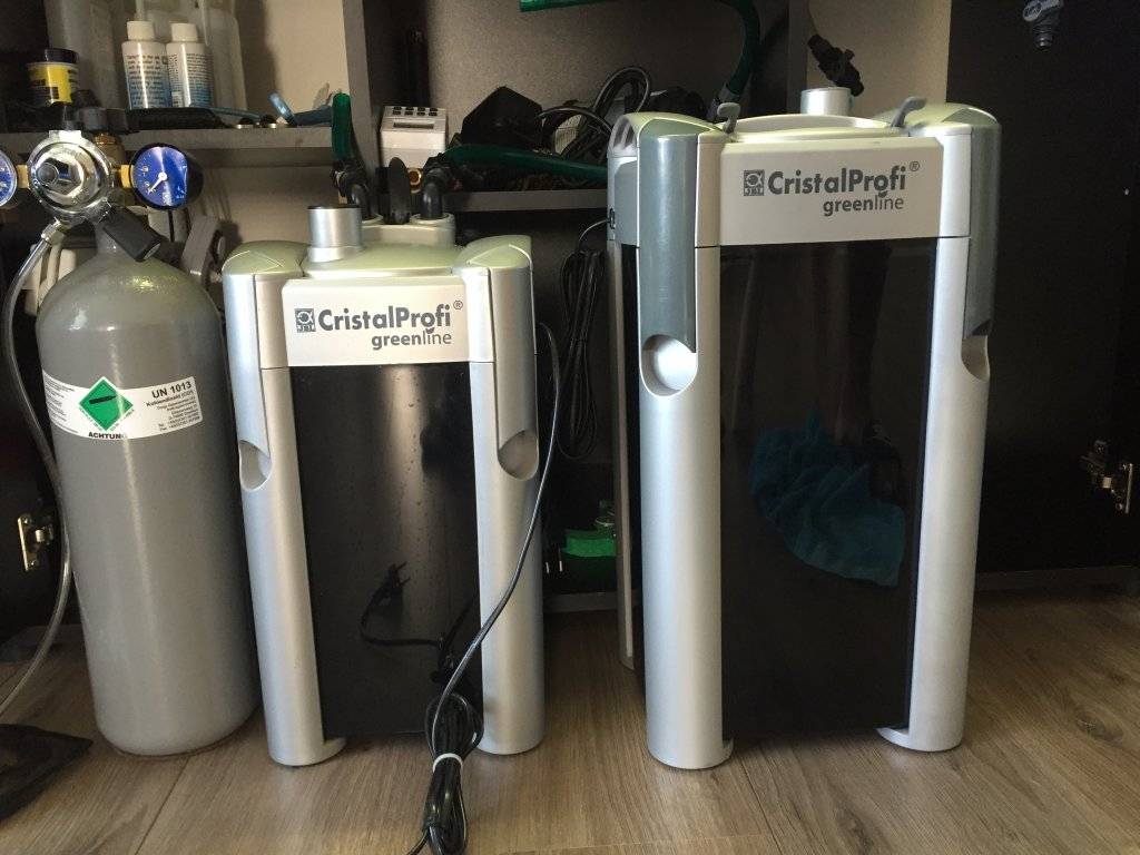 Foto 10-09-16 13 16 14.jpg