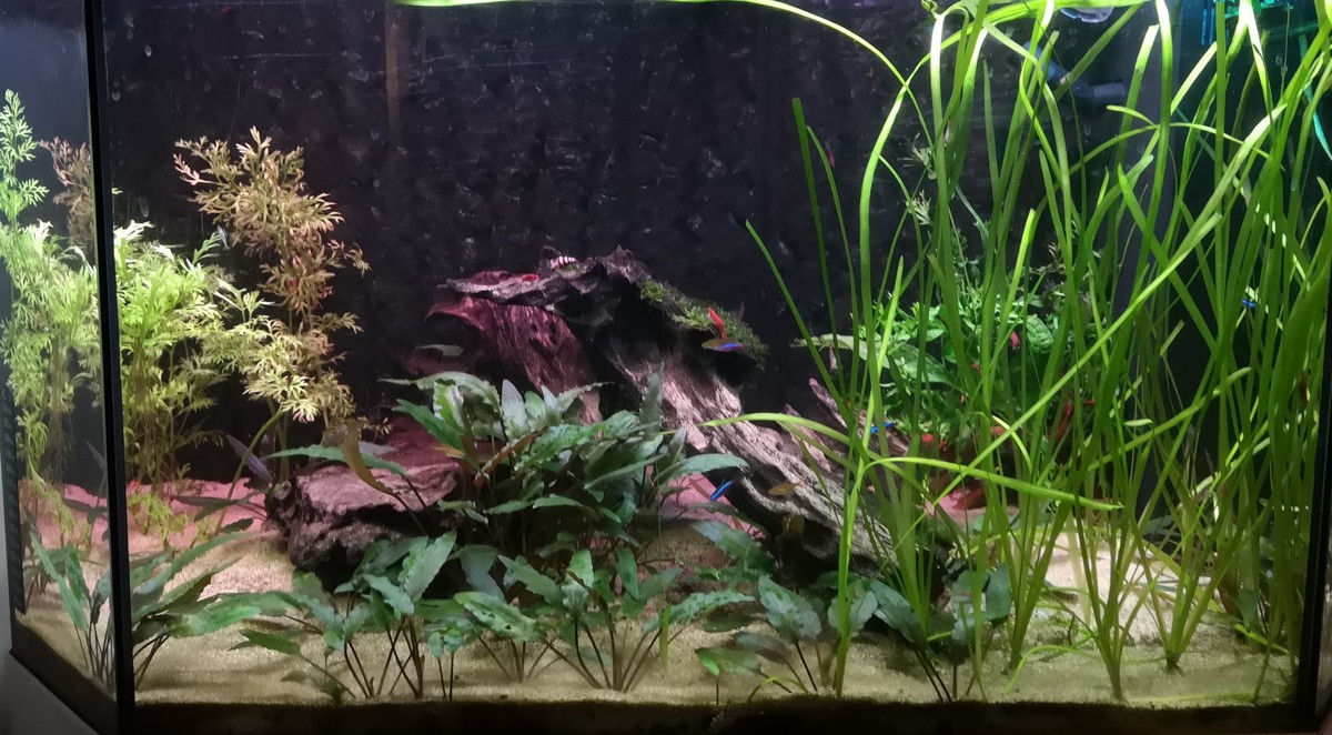 foto aquarium.jpg
