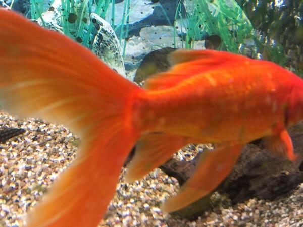 foto4.jpg