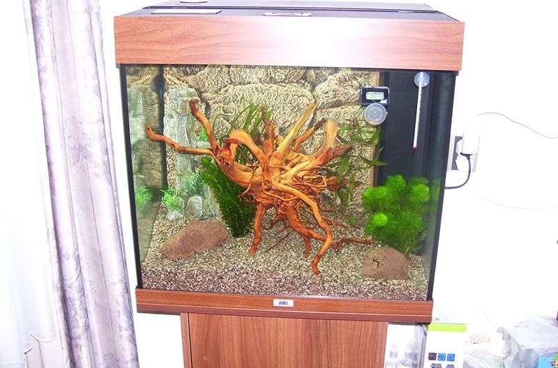 foto_juwel_lido_120_sega.jpg