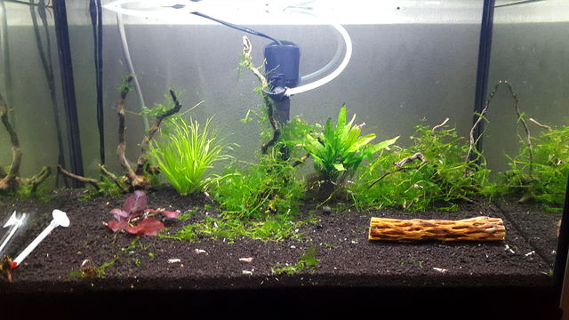 fpLrWQFePFgnQBhicHCArV99F9IA4dXt.jpeg fpLrWQFePFgnQBhicHCArV99F9IA4dXt.jpeg