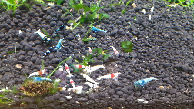 fpLrWQFePFgnQBhicHCArV99F9IA4dXt.jpeg fpLrWQFePFgnQBhicHCArV99F9IA4dXt.jpeg