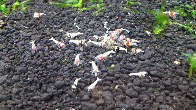 fpLrWQFePFgnQBhicHCArV99F9IA4dXt.jpeg fpLrWQFePFgnQBhicHCArV99F9IA4dXt.jpeg