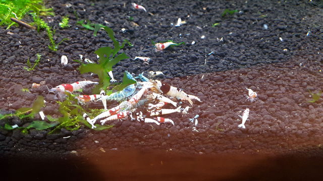 fpLrWQFePFgnQBhicHCArV99F9IA4dXt.jpeg fpLrWQFePFgnQBhicHCArV99F9IA4dXt.jpeg