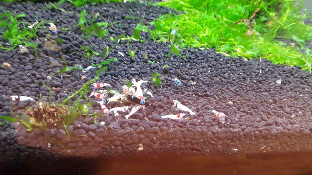 fpLrWQFePFgnQBhicHCArV99F9IA4dXt.jpeg fpLrWQFePFgnQBhicHCArV99F9IA4dXt.jpeg