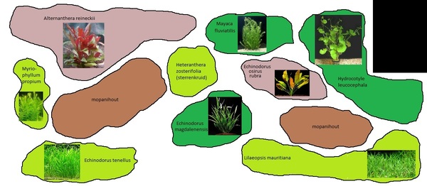 freekje-planten02.jpg
