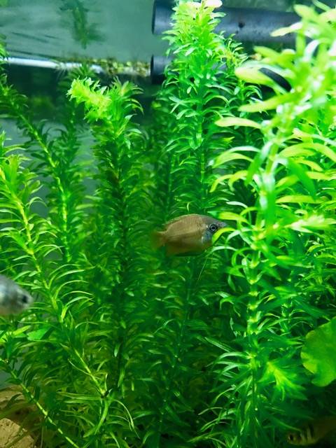 FullSizeRender (2).jpg