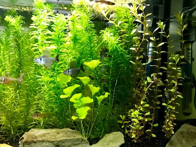 FullSizeRender (4).jpg