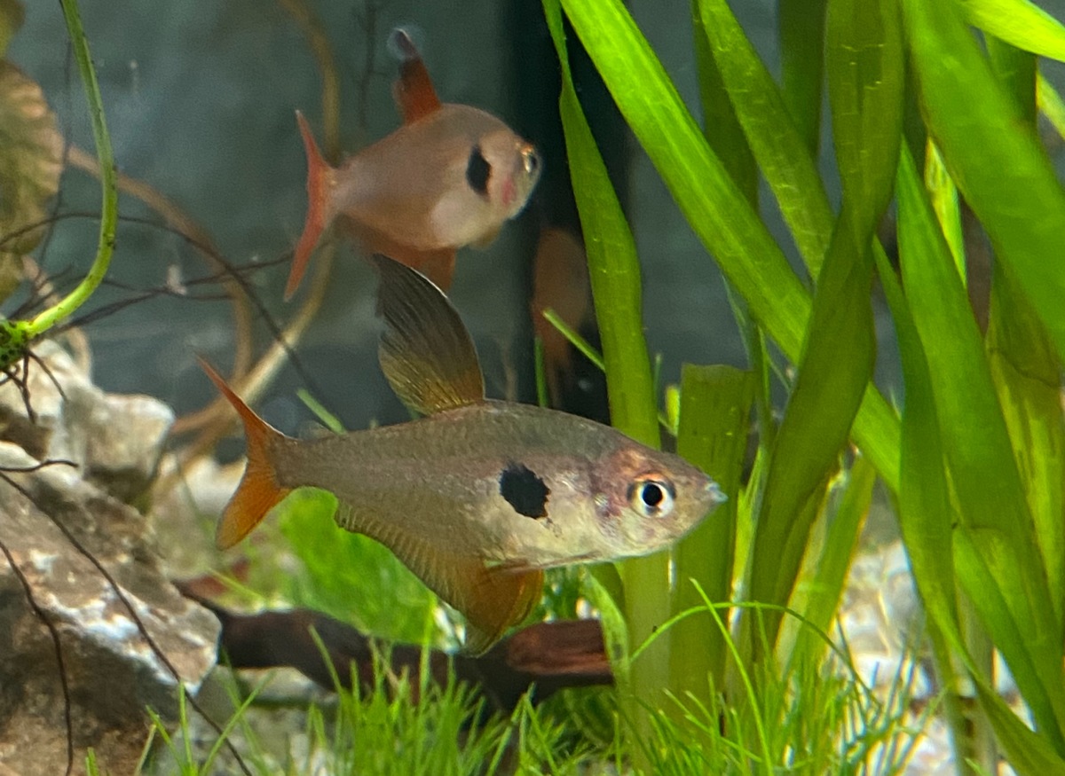 FullSizeRender 5.jpg