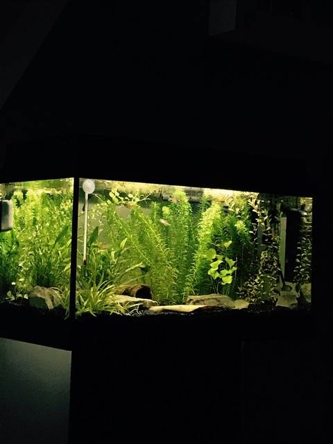 FullSizeRender (5).jpg