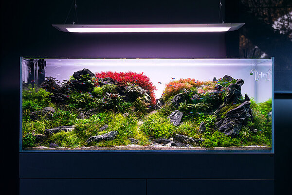 greenaqua-showroom-3.jpg
