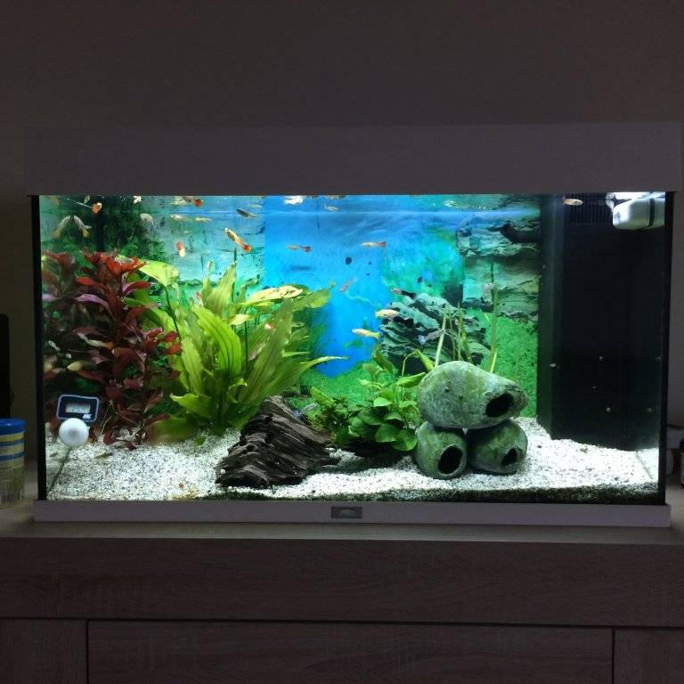 groen maart 2017 (1).JPG