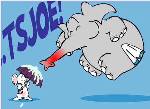 hatsjoe.jpg